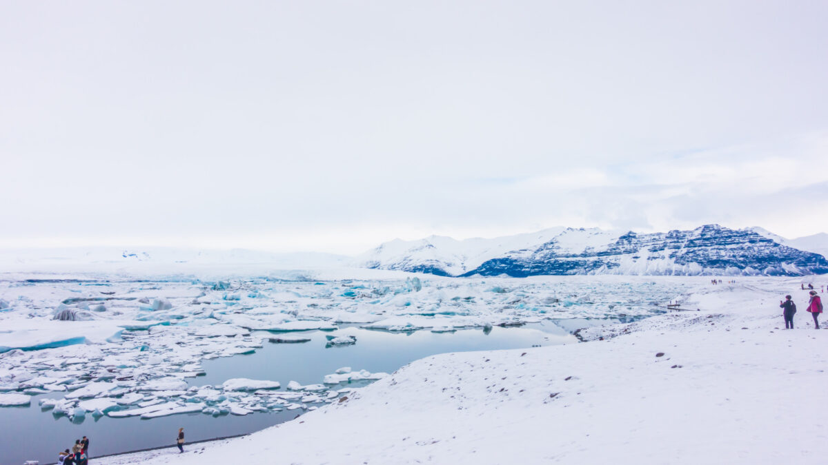 Croisière en Antarctique : immersion lors d’un voyage au bout du monde