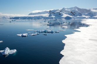 Que voir et vivre lors d'une expédition vers le Pôle Sud en croisière ?