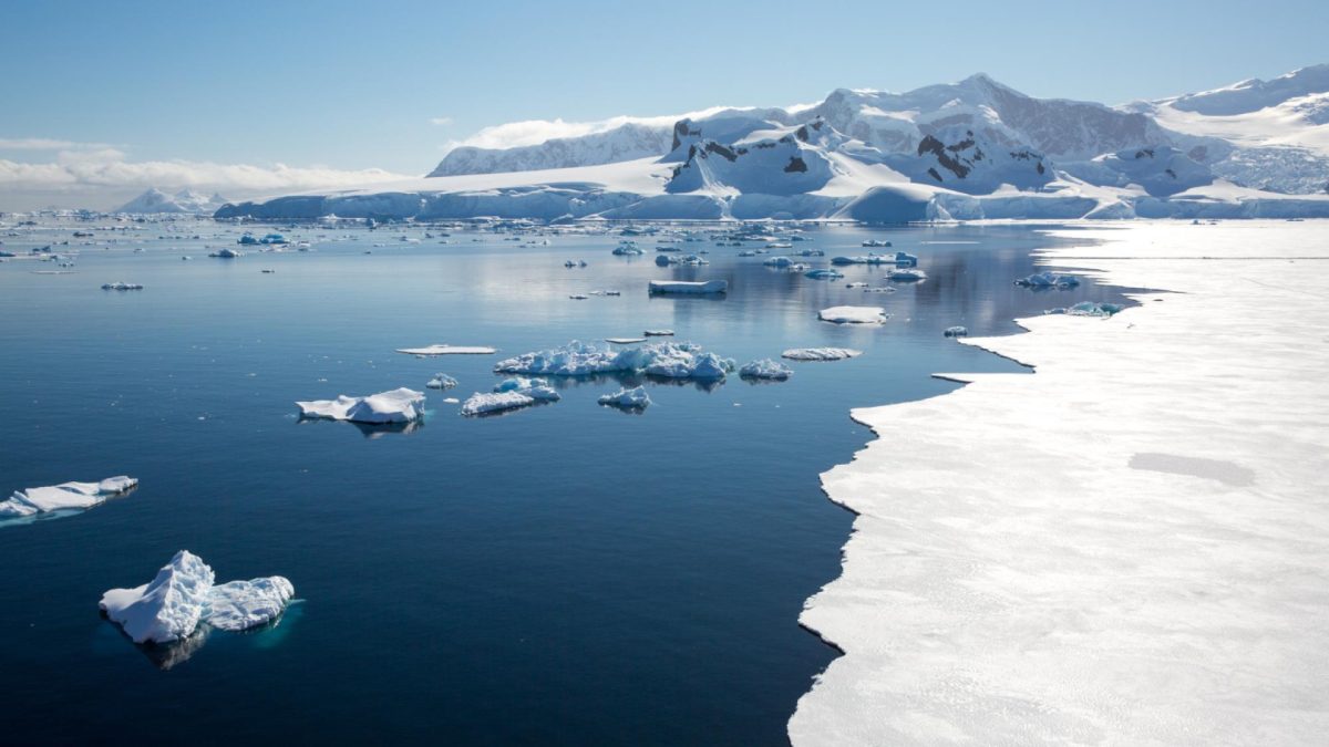 Que voir et vivre lors d'une expédition vers le Pôle Sud en croisière ?